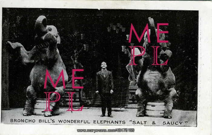 : Broncho Bill & Circus Elephants : Broncho Bill & Circus Elephants