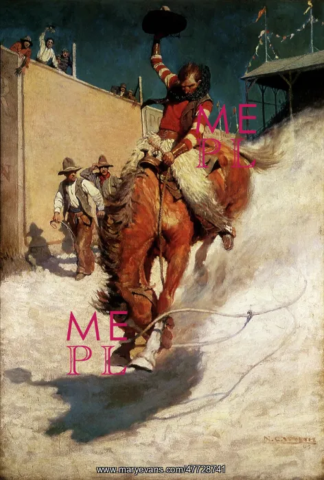  : Bronco Buster