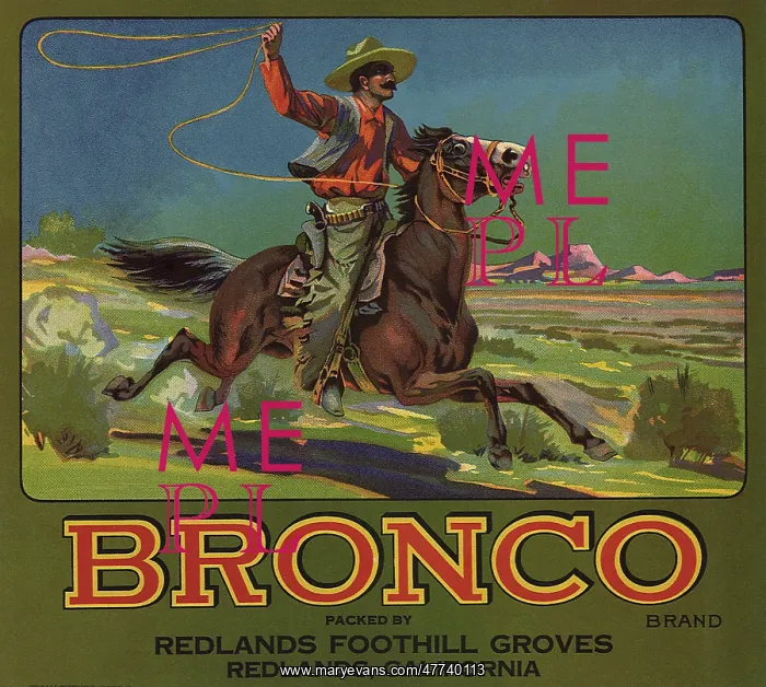  : Bronco Cowboy with Lasso on horseback