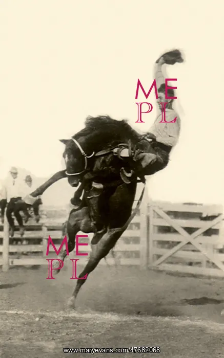  : Bronco Riding