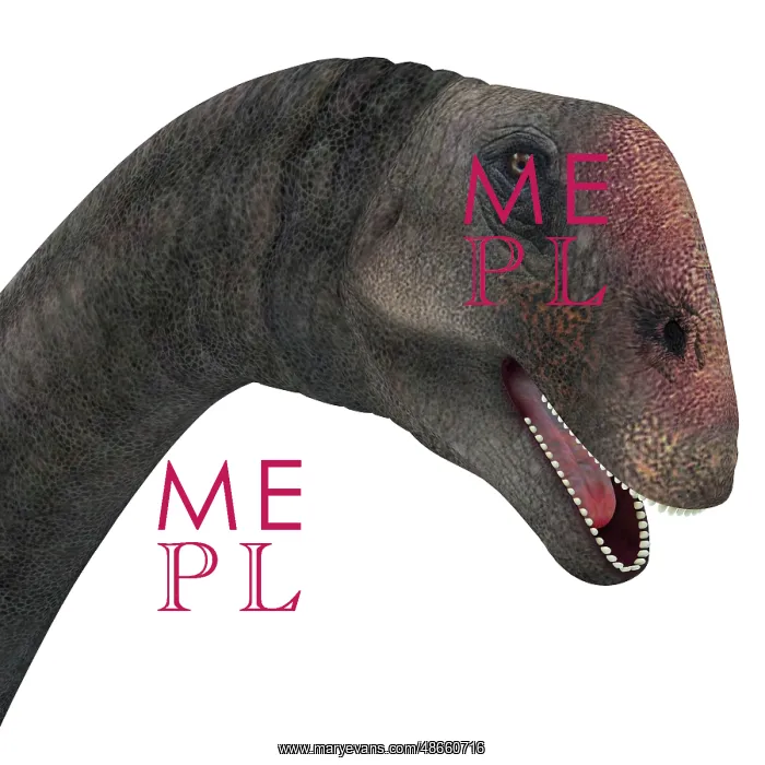 : Brontomerus dinosaur head : Brontomerus dinosaur head