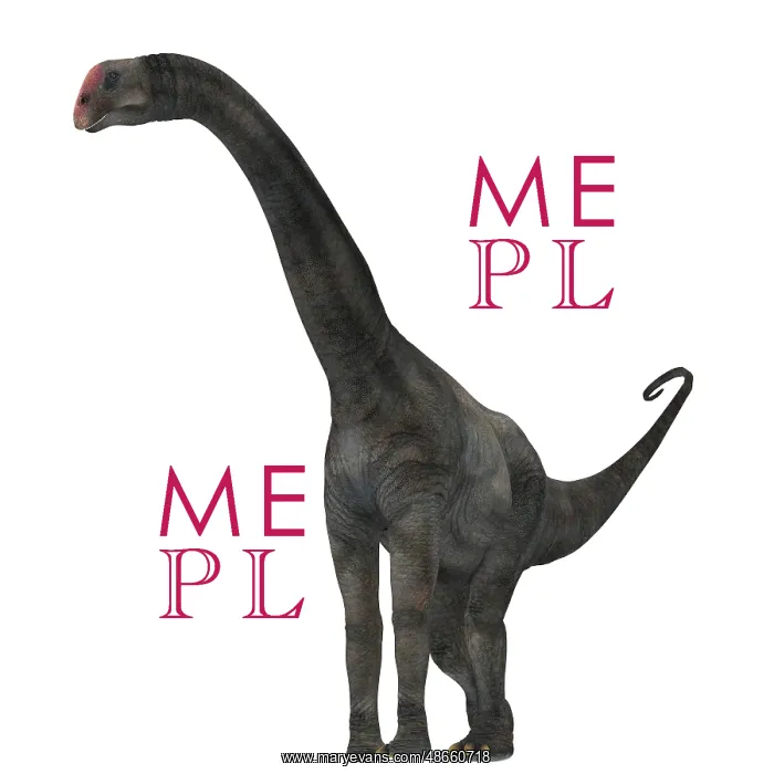 : Brontomerus dinosaur on white background : Brontomerus dinosaur on white background