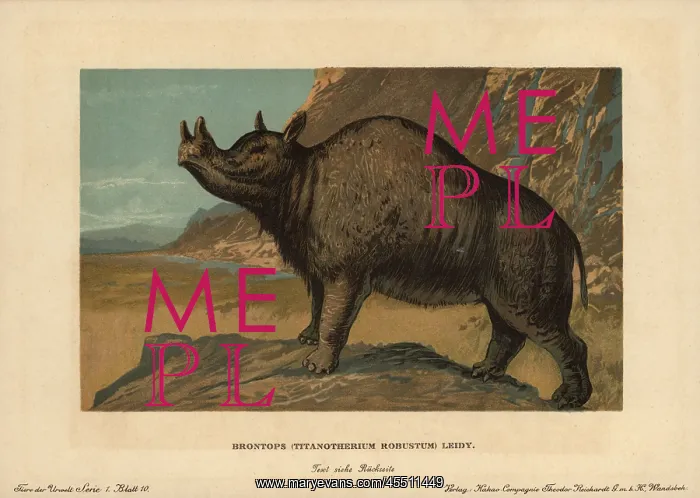 : Brontops robustus, extinct genus of rhinoceros-like : Brontops robustus, extinct genus of rhinoceros-like