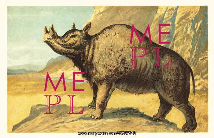 : Brontops robustus or Megacerops robustus : Brontops robustus or Megacerops robustus