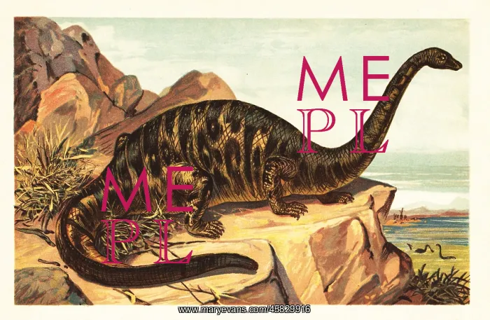 : Brontosaurus excelsus, extinct species of gigantic : Brontosaurus excelsus, extinct species of gigantic