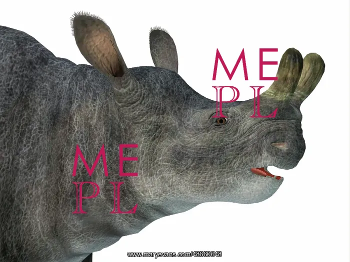 : Brontotherium head : Brontotherium head