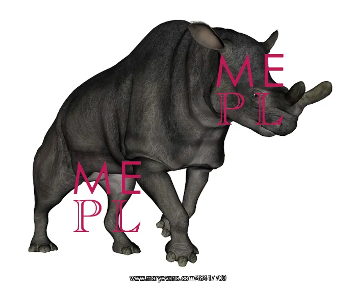 : Brontotherium isolated on white background : Brontotherium isolated on white background