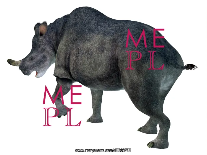 : Brontotherium mammal, rear view : Brontotherium mammal, rear view
