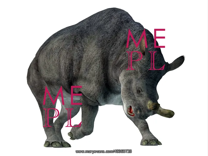 : Brontotherium mammal, front view : Brontotherium mammal, front view