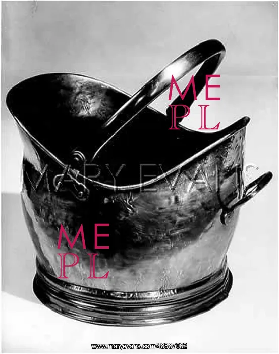 : BRONZE COAL SCUTTLE : BRONZE COAL SCUTTLE