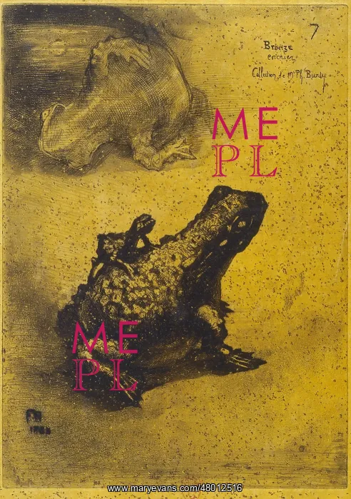 : Bronze toad : Bronze toad