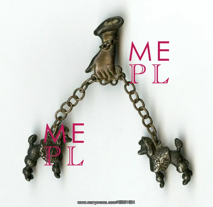 : Brooch -- hand taking two poodles for a walk : Brooch -- hand taking two poodles for a walk