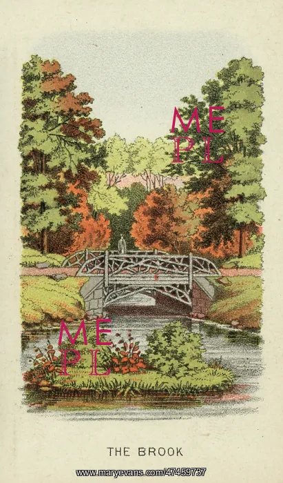 : The brook. Print shows a view of stream with a small island in the foreground : The brook. Print shows a view of stream with a small island in the foreground