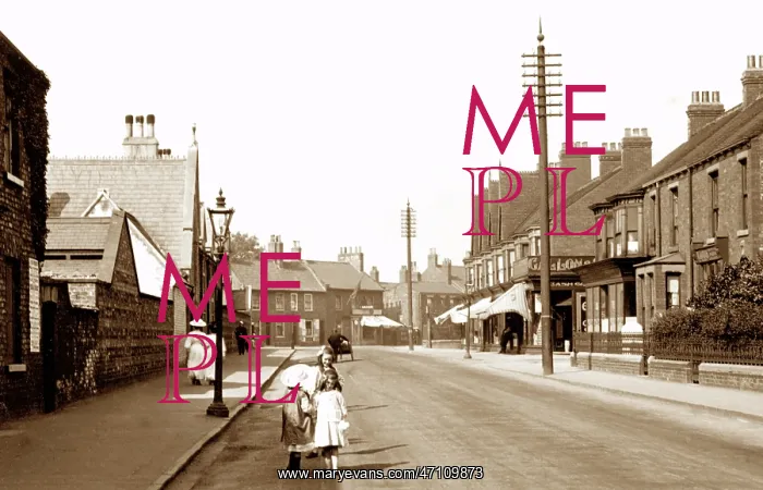  : Brook Street, Selby early 1900's