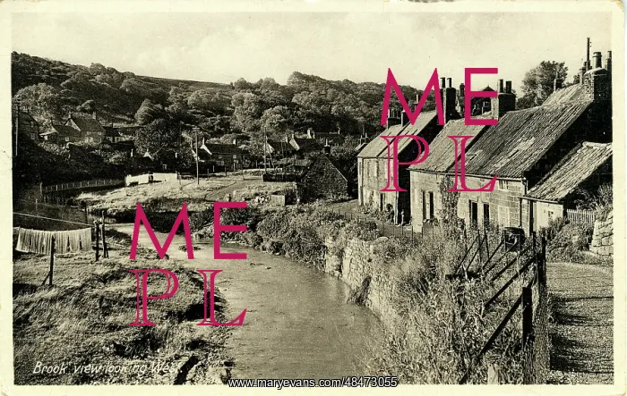 : Brook Village, Thought to be at Brighstone, Isle of Wight : Brook Village, Thought to be at Brighstone, Isle of Wight