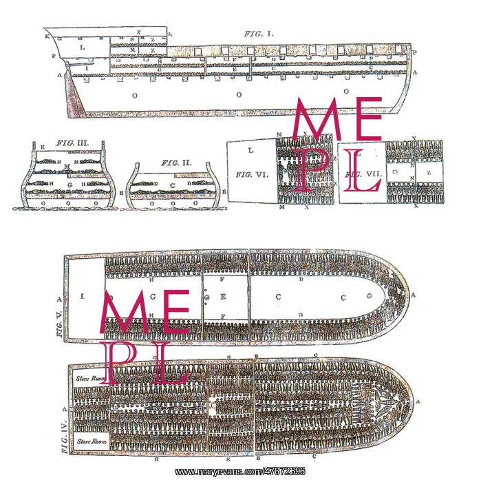 : Brookes, English Slave Ship, 1788 : Brookes, English Slave Ship, 1788