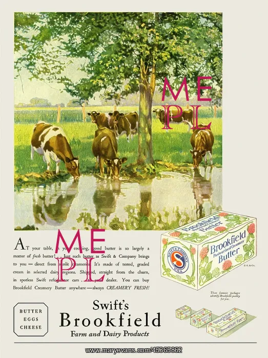 : Brookfield butter : Brookfield butter