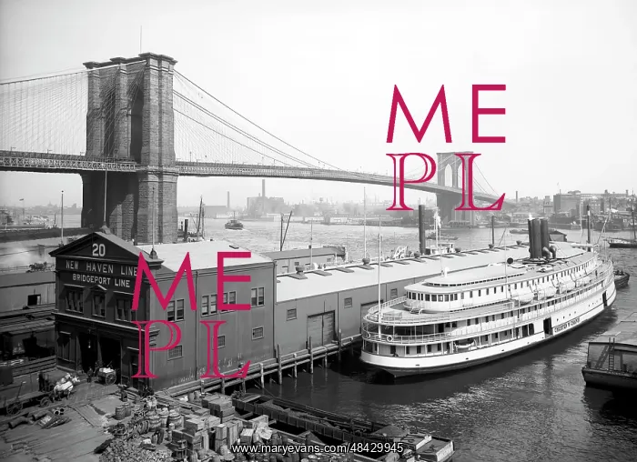 : The Brooklyn Bridge and the New Haven-Bridgeport : The Brooklyn Bridge and the New Haven-Bridgeport