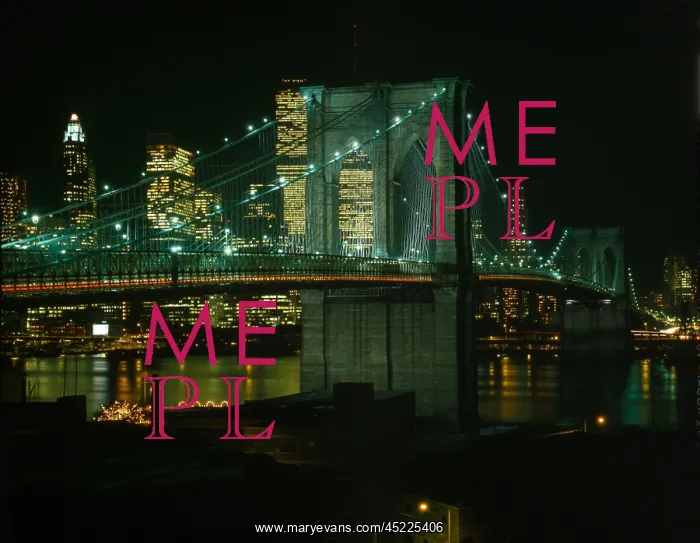 : Brooklyn Bridge, view of the Brooklyn Bridge ? : Brooklyn Bridge, view of the Brooklyn Bridge ?