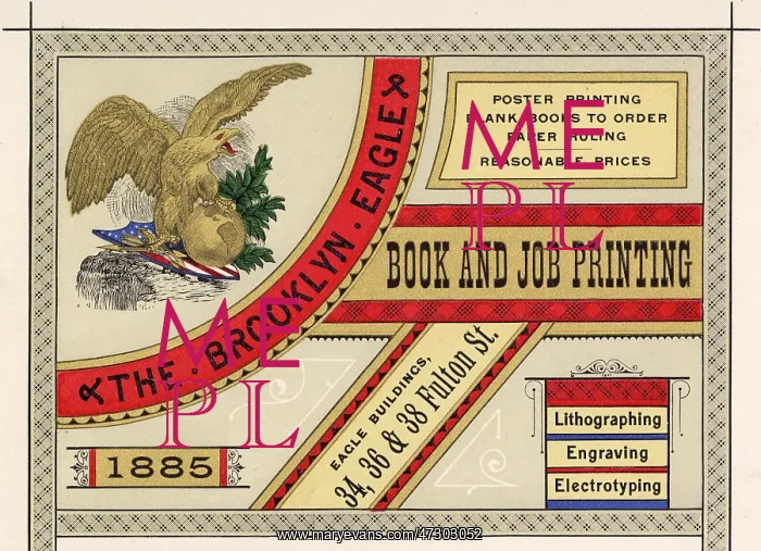  : BROOKLYN EAGLE CARD