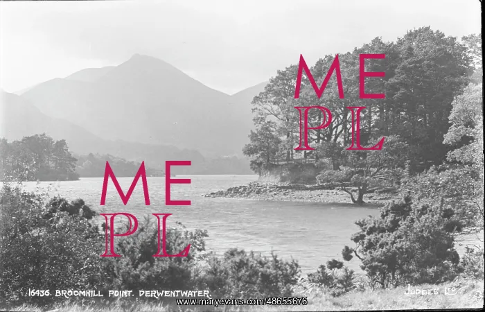 : Broomhill Point, Derwentwater : Broomhill Point, Derwentwater
