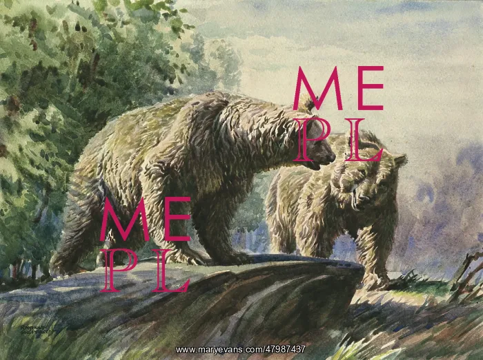  : Brown bears