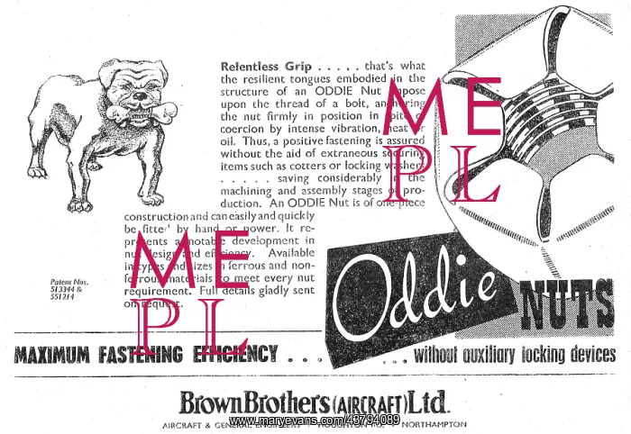 : Brown Brothers Oddie Nuts : Brown Brothers Oddie Nuts