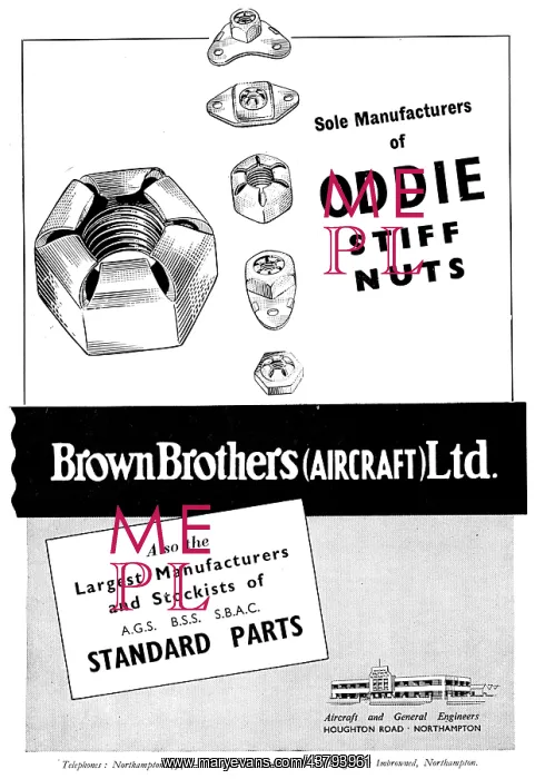 : Brown Brothers Oddie Stiff Nuts : Brown Brothers Oddie Stiff Nuts