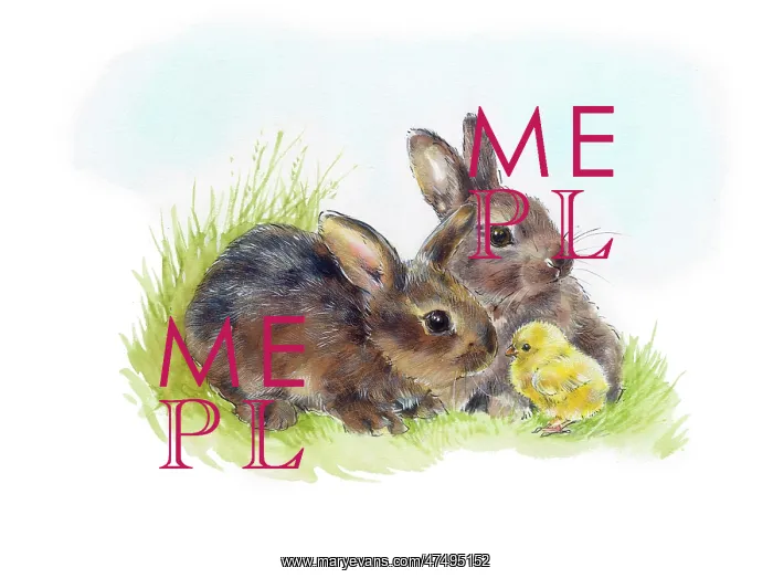  : Two brown bunnies with a yellow chick