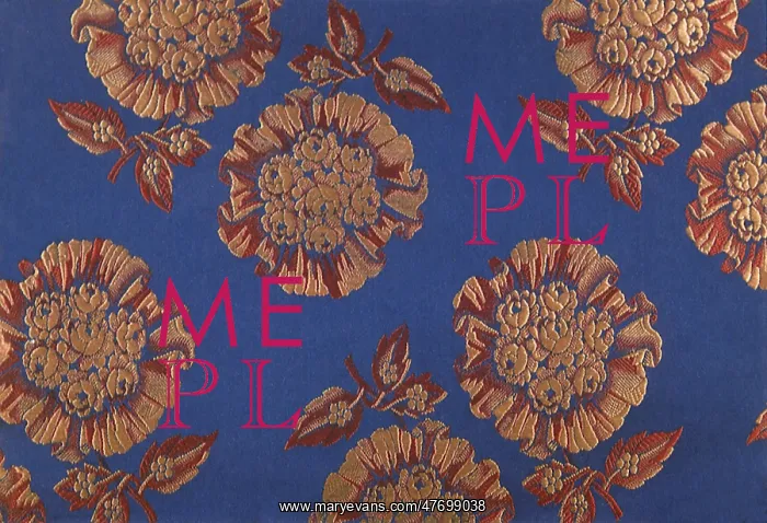  : Brown Flowers on a Blue Background