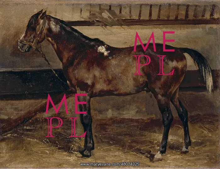 : Brown horse in a stable : Brown horse in a stable