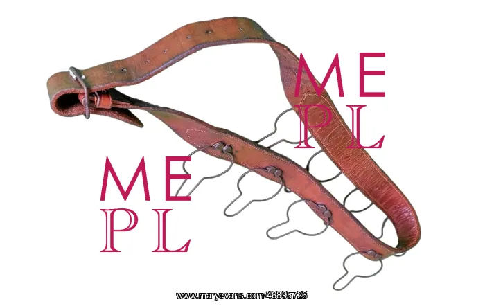 : Brown leather game belt : Brown leather game belt