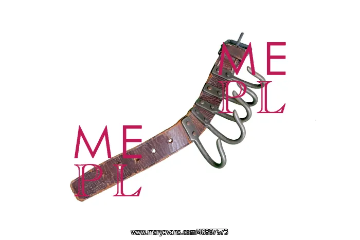 : Brown leather game belt : Brown leather game belt