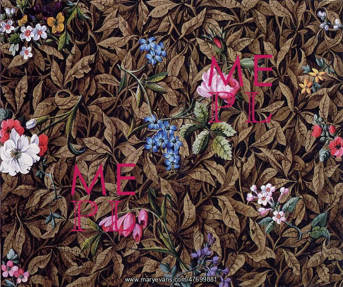  : Brown Leaves and Flowers