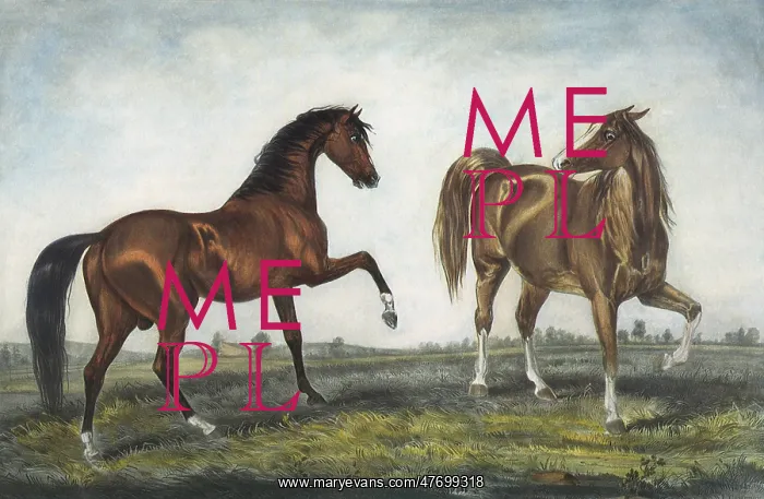  : Brown, Lt. Brown Horses