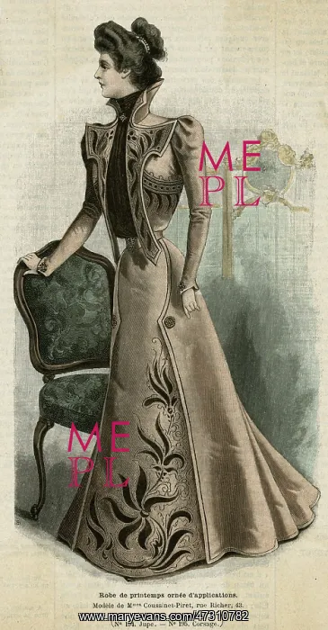 : Brown Open Bodice 1899 : Brown Open Bodice 1899