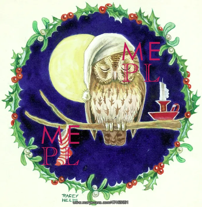 : Brown Owl's Christmas Eve - with stocking : Brown Owl's Christmas Eve - with stocking