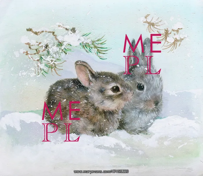  : Two brown rabbits in the snow