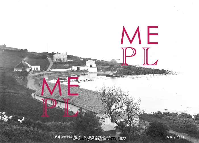 : Brown's Bay, Islandmagee : Brown's Bay, Islandmagee