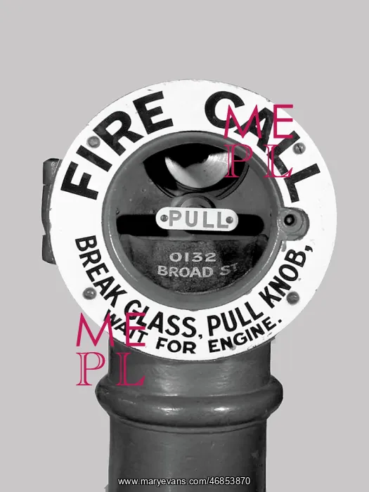 : Brown's Fire Alarm : Brown's Fire Alarm