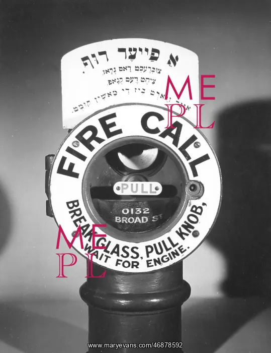 : Brown's fire alarm head (closed) with instructions : Brown's fire alarm head (closed) with instructions