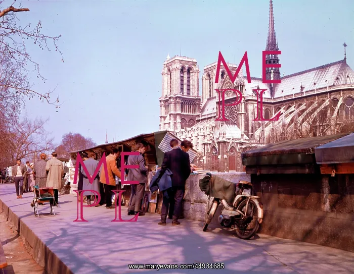 : Browsing among the bouquinistes - Paris quais and Notre Dame : Browsing among the bouquinistes - Paris quais and Notre Dame