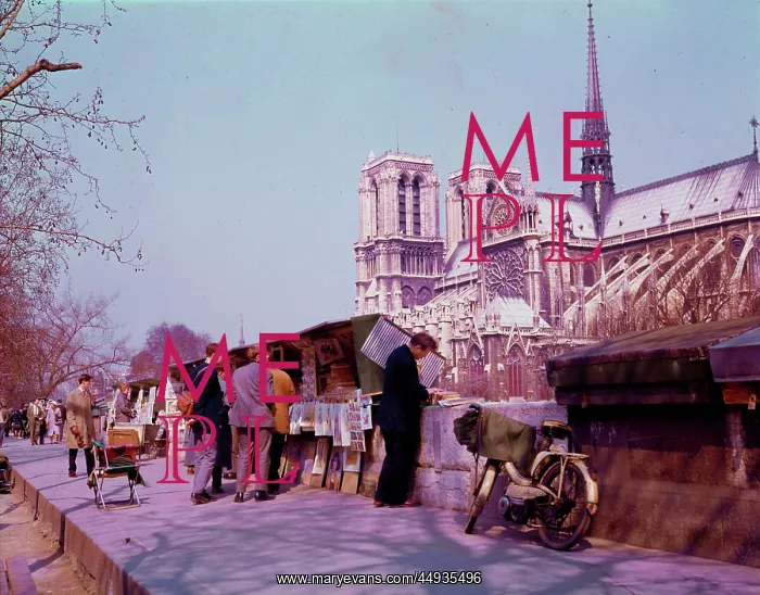 : Browsing among the bouquinistes - Paris quais and Notre Dame : Browsing among the bouquinistes - Paris quais and Notre Dame