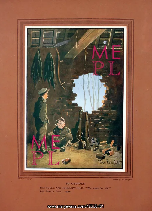 : Bruce Bairnsfather cartoon, So Obvious : Bruce Bairnsfather cartoon, So Obvious