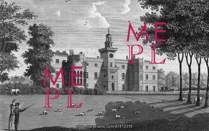 : BRUCE CASTLE : BRUCE CASTLE