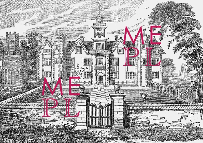 : BRUCE CASTLE C17 : BRUCE CASTLE C17