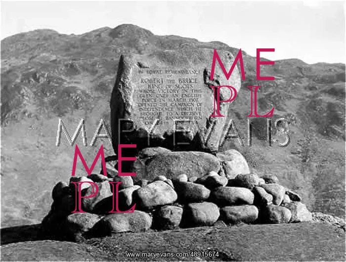 : THE BRUCE STONE : THE BRUCE STONE