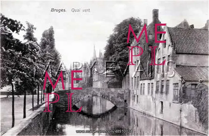  : BRUGES / QUAI VERT C1910