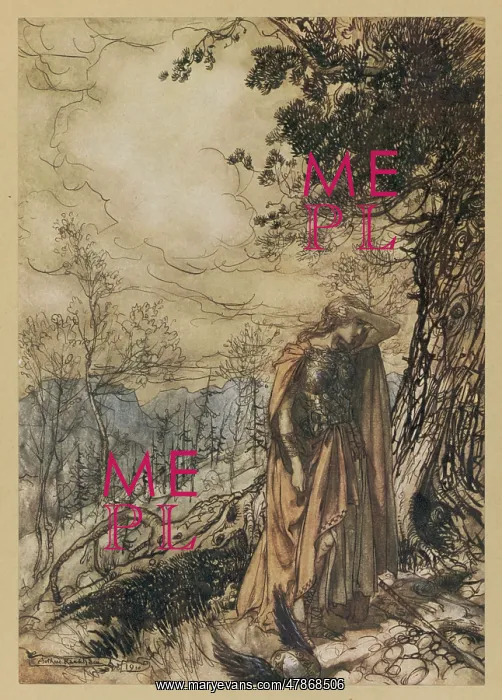 : BRUNNHILDE DISMAYEDG : BRUNNHILDE DISMAYEDG