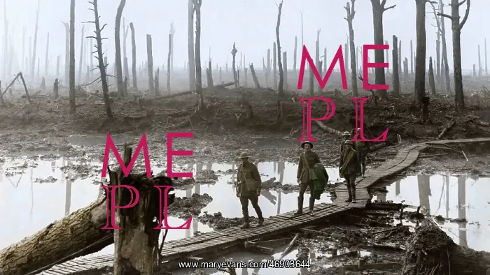 : Brutal WW1 : Brutal WW1